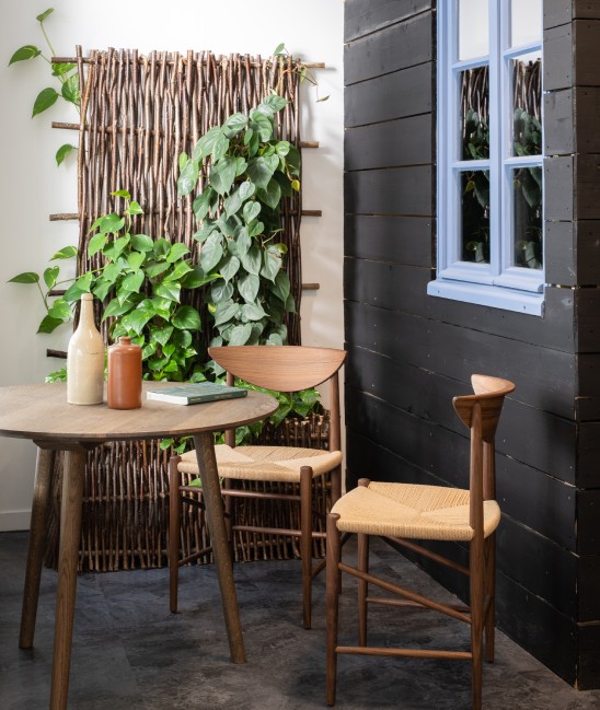 Table et chaises en bois sur une petite terrasse, une plante grimpante dans le fond pour décorer.