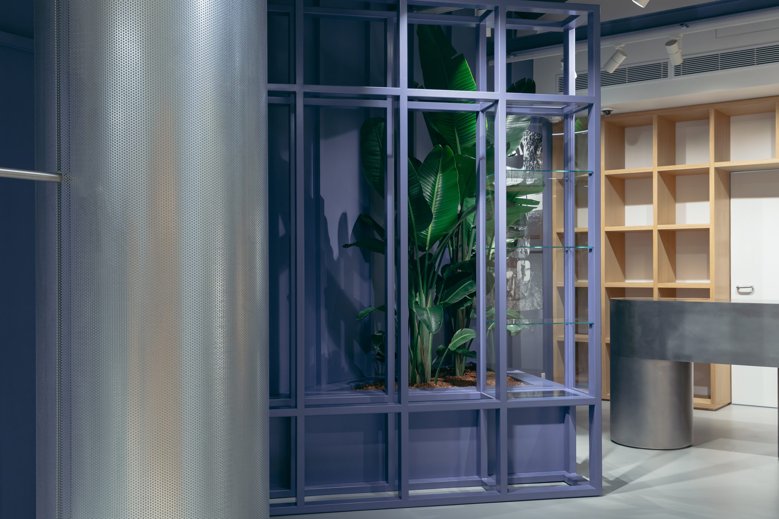 Verrière avec plante décorative à côté de la caisse