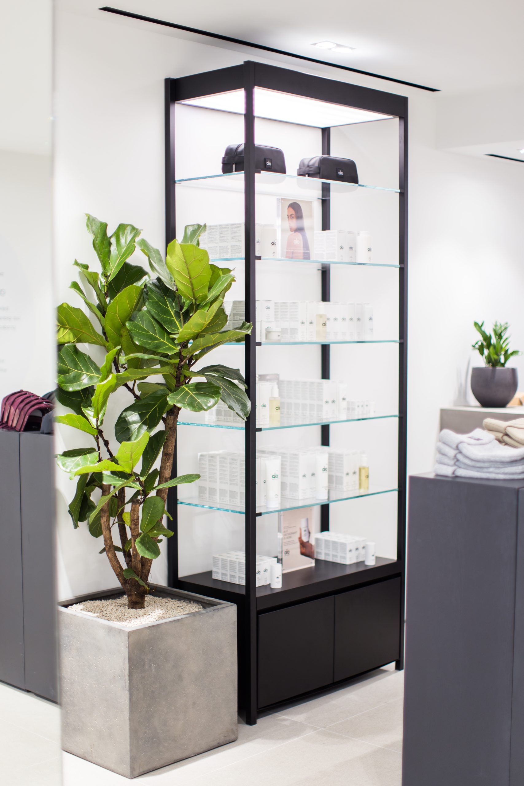 Vitrine exposant des accessoires, pante décorative à côté