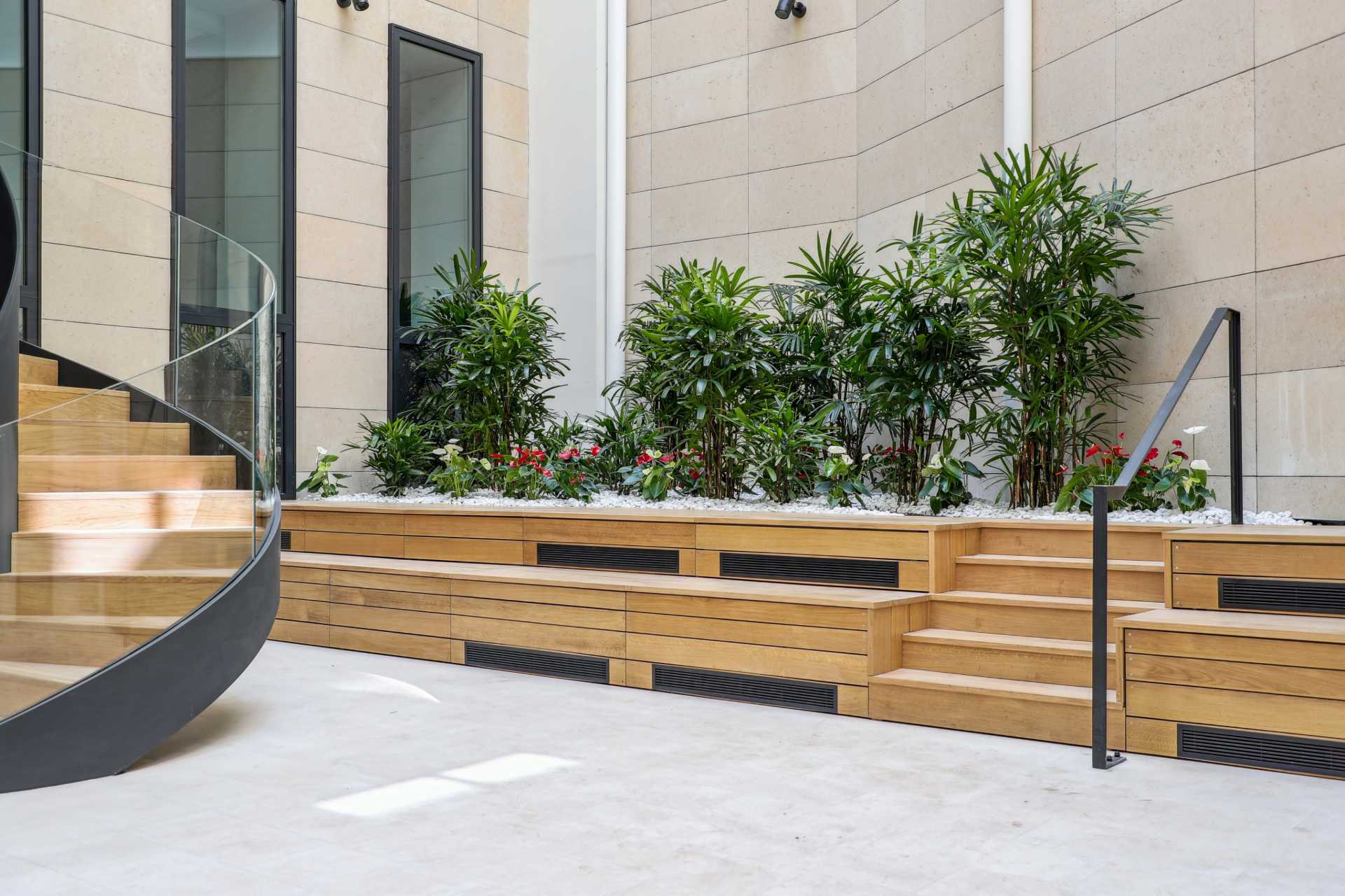 Cour intérieur avec plantes et estrade en bois clair