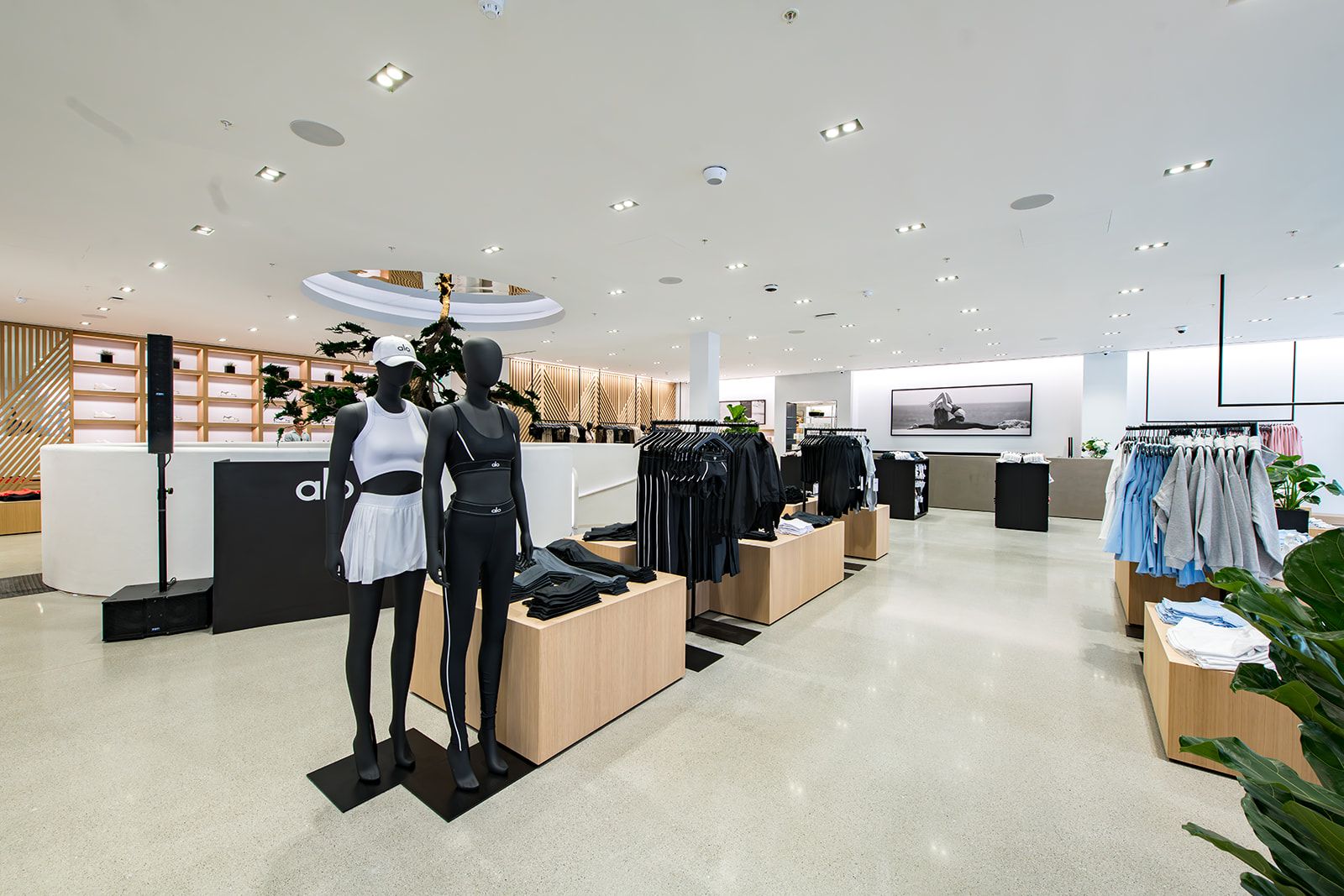 Photo des présentoirs du magasin