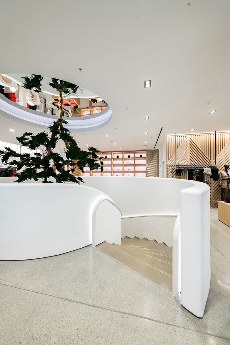 Escalier permettant de descendre à l'étage inférieur, une plante est suspendue au centre de l'escalier tournant