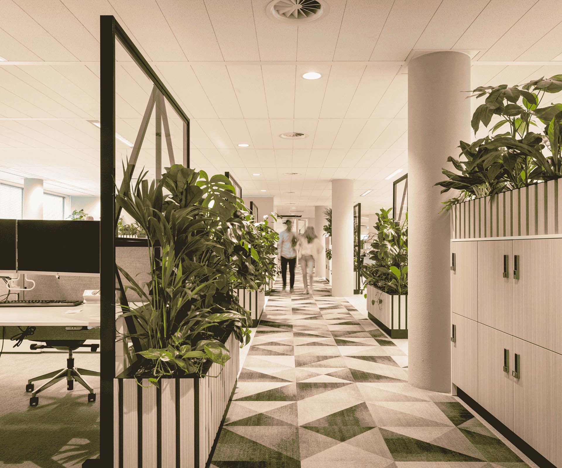 Open space avec des séparations avec des plantes et des casiers